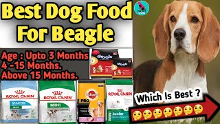 Best Dog Food For Beagle Breed || Beagle Dog Diet Plan || Upto 15 months or Above 15 months || Dogs