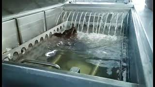 Msonic Ultrasonic Precision Cleaning System (For Complicated Part) Enhanced with Agitation Movement