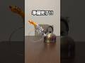 【リベンジ】やかんにチキンをぶっさして沸騰させたら鳴き叫ぶのか Part2 #3dプリンター #びっくりチキン #shorts