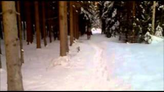 Lita,Blesen Og Amlii