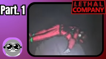 This Video is Too Lethal…