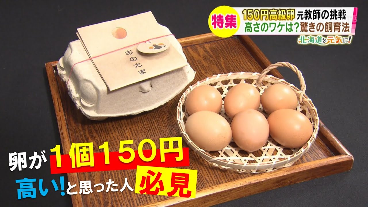 １個１５０円の高級卵　理由は愛と飼育法にあった！【HTB北海道ニュース】