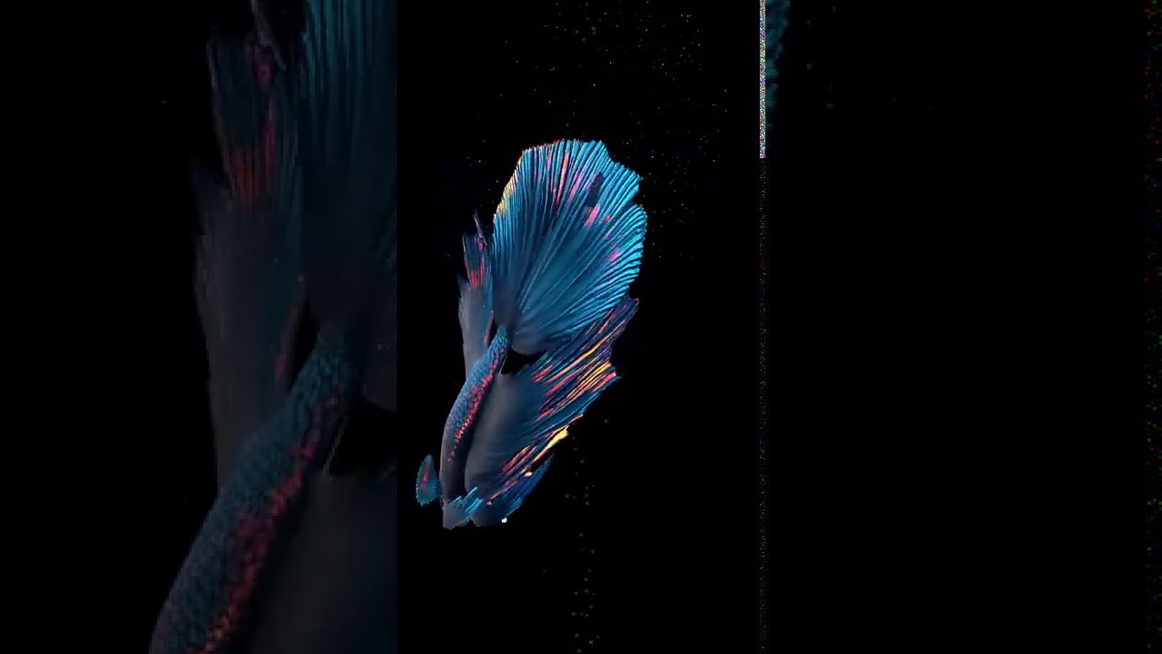3D Fish Nail Art - wide 1