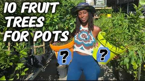 Top 10 Fruit Trees for Containers or Pot