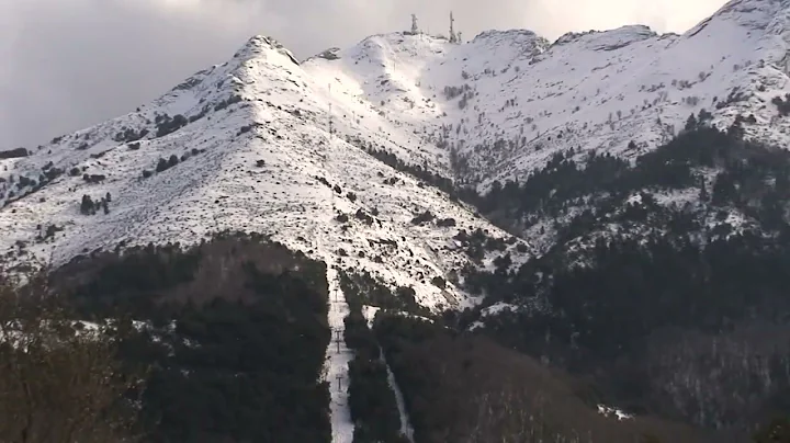 nevicata 2010 monte capanne , marciana e piante in...