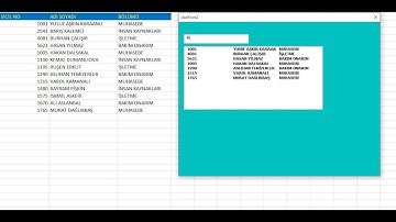 EXCEL VBA  SAYISAL VEYA METİNSEL TÜM SUTUNLAR İÇİN  VERİ ARAMA