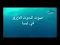صوت الحوت الازرق في ليبيا