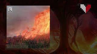 Watch Softheart Its No Fun video