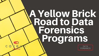 A Yellow Brick Road for Implementing a Powerful Data Forensics Program