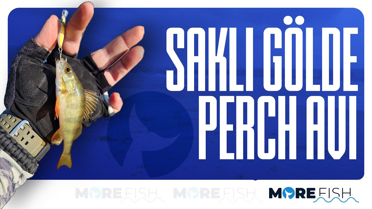 Ankara'da Saklı Gölde Perch Avı 🐟