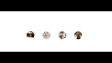 Creating tooltip with css