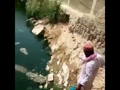 Timsah beslemek isyenler izlesin - YouTube