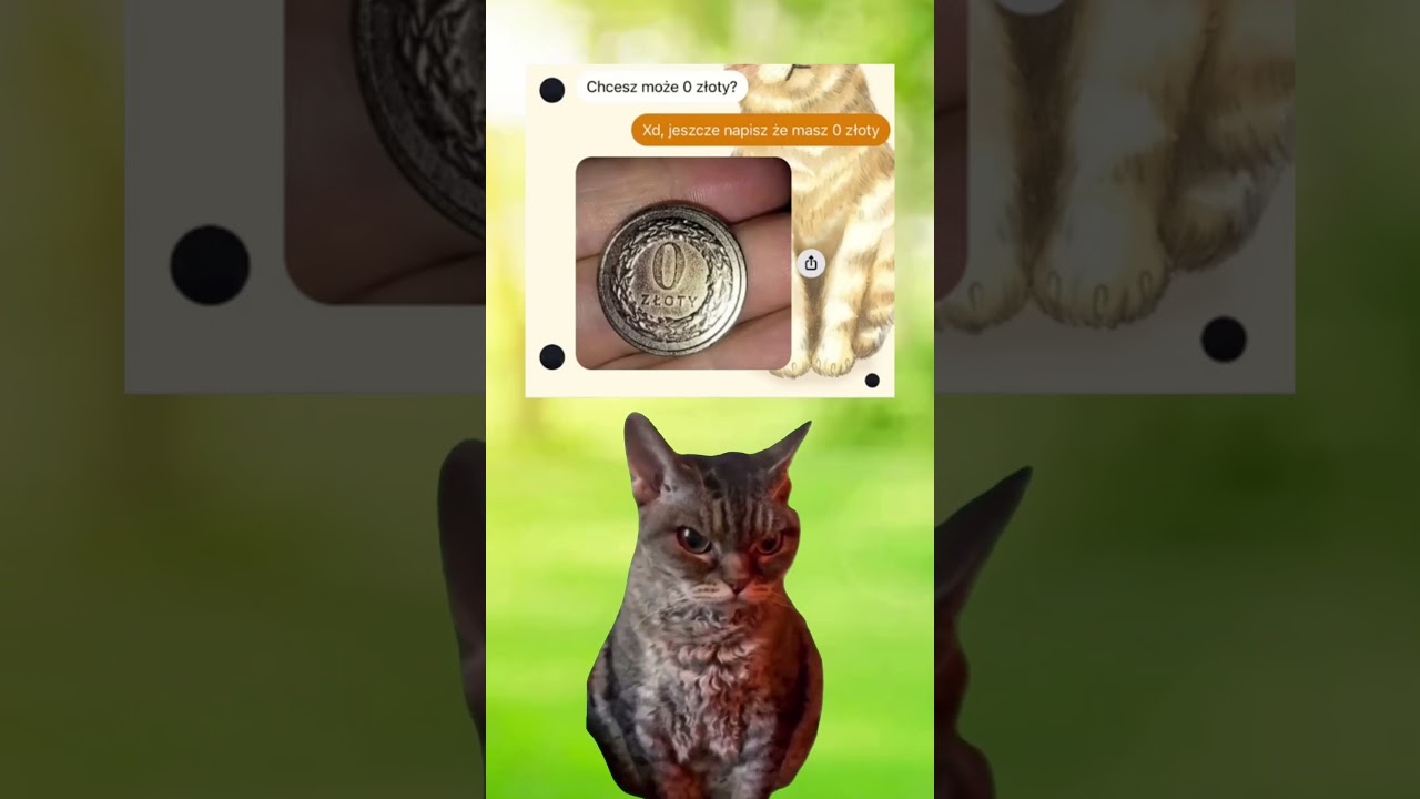 #shorts #memy #messenger #chat #viralvideo #fyp #memes #humor