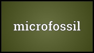 Microfossil Meaning