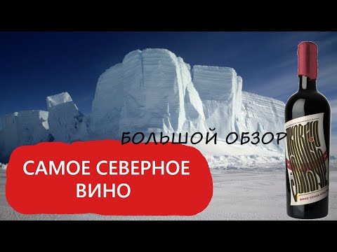 Самое северное вино! Большой обзор.
