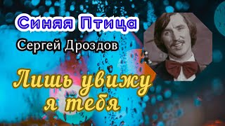 Лишь увижу я тебя.  Синяя Птица. Сергей Дроздов.