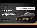 Велосипедное седло | Как это устроено? | Discovery