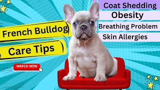 French Bulldog Health Care Tips: Keep Your French Bulldog Happy And Healthy