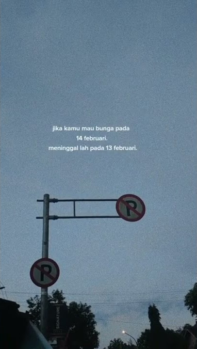 Story Wa 15 detik Terbaru tema Valentine 😈