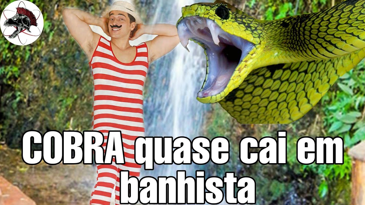 COBRA na Cachoeira quase cai em  banhista ILHABELA SP 2013 | Biólogo Henrique o Biólogo das Cobras