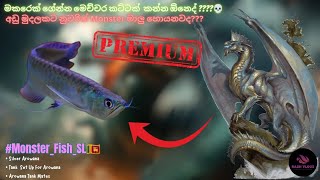 මෙහෙමත් ඇරවානෙක්!!!🐉 | New Silver Arowna For My Collection🐉 | Monster Fish S2:E2 | Rash_Vlogs