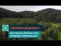 «Зеленая формула» СИБУРа: как в России работают лесоклиматические проекты