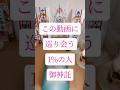 この動画に巡り会う1%の人｜才能が解放される御神託✨
