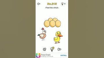 Brain Out Walkthrough Level 215 Find the Chick