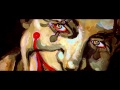 Ranker Video