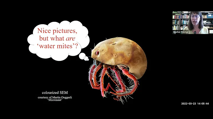 Mite-y Talks: Heather Proctor