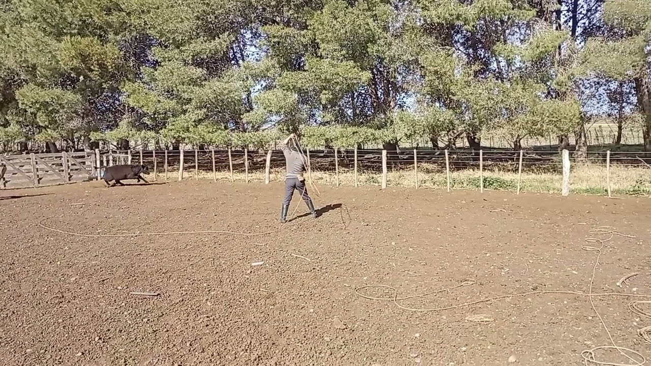 16 de agosto de 2025