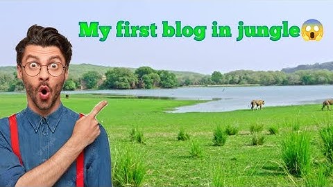 My first Vlog in Forest • #vlog