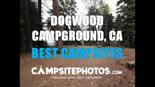 Dogwood Campground Best Campsites, San Bernardino National Forest, CA