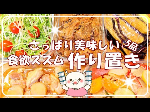 【作り置き5品】さっぱりだからモリモリ食べれる美味しいレシピ モトブログもあり 作り置き お弁当 さっぱりレシピ 北海道ツーリング 室蘭