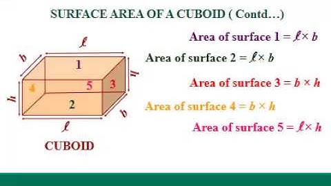 Math, Class 6, Session 3, Chapter 12, Three Dimensional Solids, Concepts of Exercise 12.2