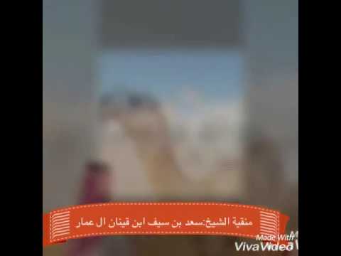 منقية سعد بن سيف ابن قينان ال عمار