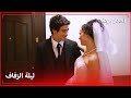 زواج ألما و باريش احلام بريئة