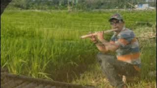 SERULING BATAK PALING SEDIH 