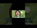 🍏 #ミセスグリーンアップ