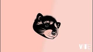 PEDRO PEDRO Ringtone