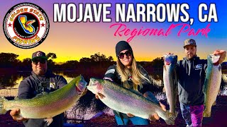 Mojave Narrows CA Ultralight Trout fishing | Mini Jigs | Spartan Minnows | Drop Shot |