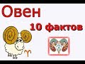 Топ 10 необычных фактов о знаке зодиаке ОВЕН