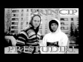 Capture de la vidéo Princip-Preštudiri Feat. Nemir+Lyrics