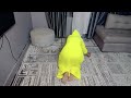 روتين في رمضان خفيف وسهل رمضان كريم