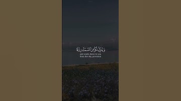 ﴿هُوَ الَّذِي يُرِيكُمْ آيَاتِهِ وَيُنَزِّلُ لَكُم مِّنَ السَّمَاءِ رِزْقًا﴾ للقارئ هزاع البلوشي♡.