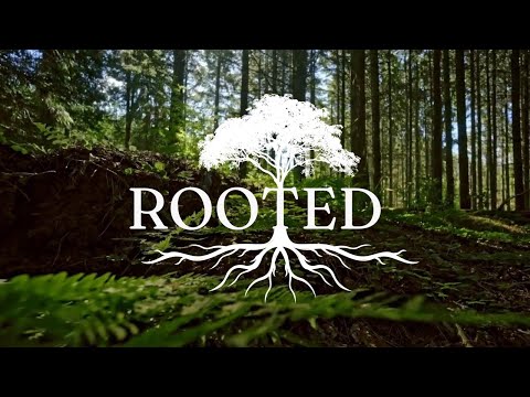 Rooted: Head Heart Hands || Matthew 22:23 - 401 || September 14, 2025