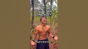 Pencak Silat vs MMA! #pencaksilat #shorts
