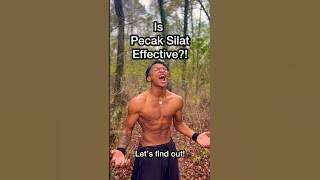 Pencak Silat vs MMA! #pencaksilat #shorts