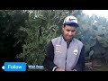 أجمل ضيعة🌳🌳 مع خونا سفيان|#افلام_مغربية #اكسبلور #tyt #ايطاليا #زراعة #فلاح_وخير