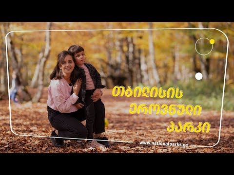 საბადურის ტყე | სოფო აზარიაშვილი